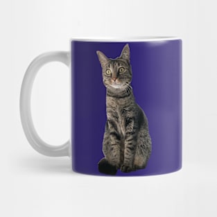 Kitty Mug